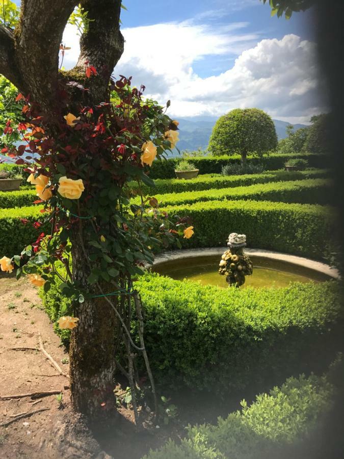 Belvedere Coreglia Antelminelli المظهر الخارجي الصورة